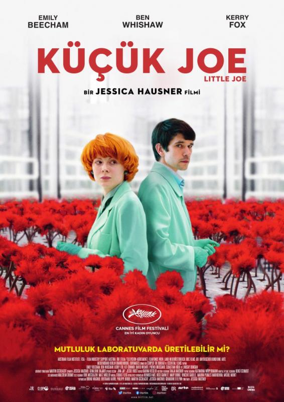 Küçük Joe afişi