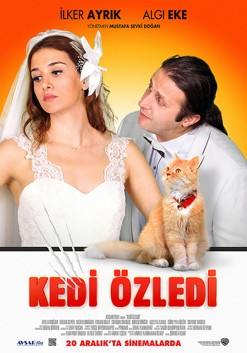 Kedi Özledi afişi