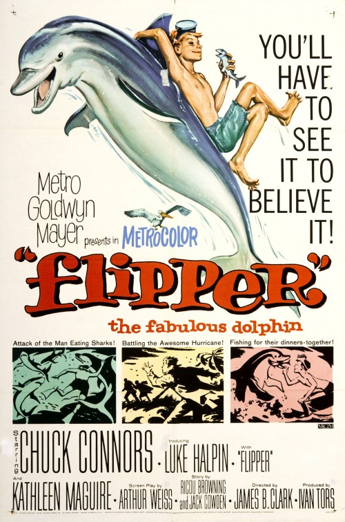 Flipper afişi