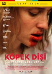 Köpek Dişi afişi