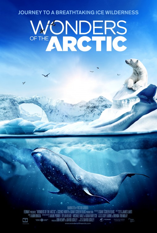 Wonders of the Arctic 3D afişi