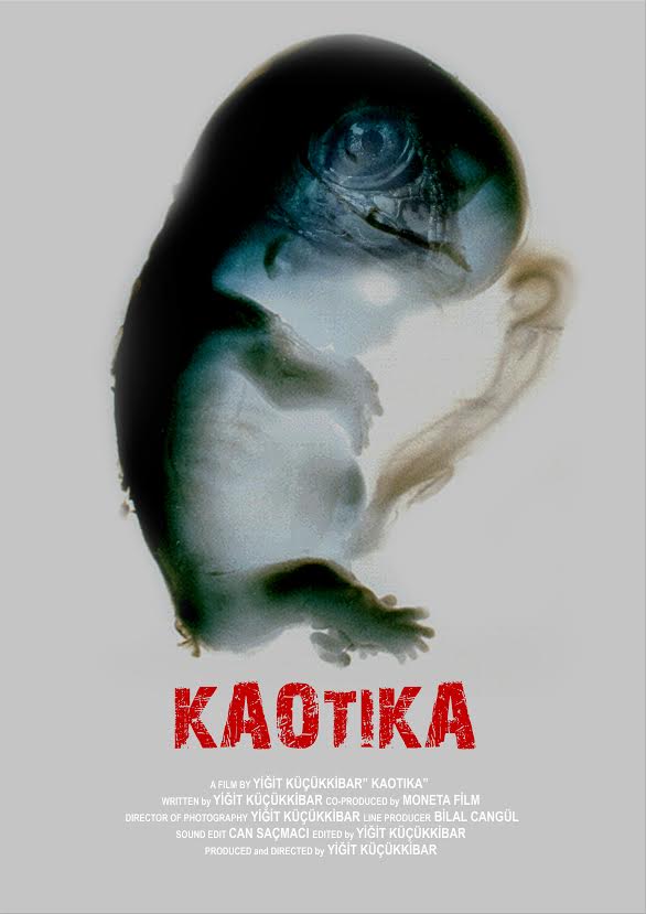 Kaotika afişi