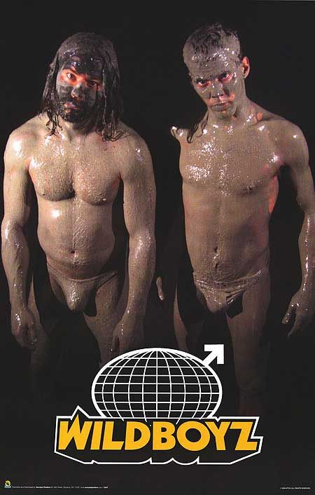 Wildboyz afişi