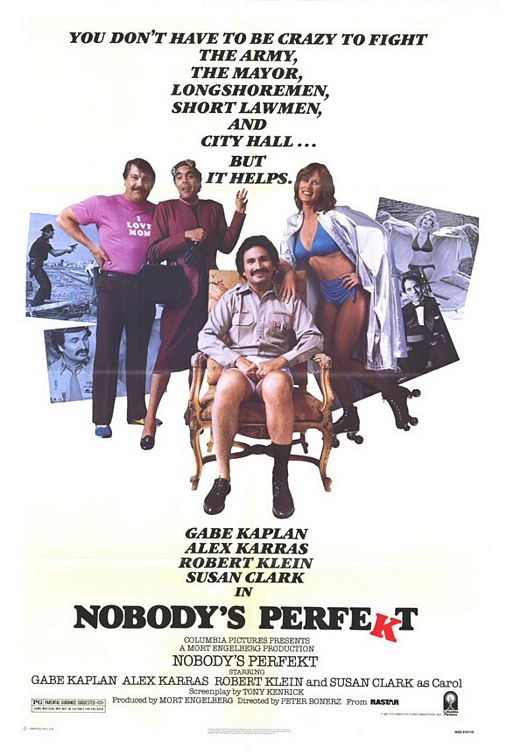 Nobody's Perfekt afişi