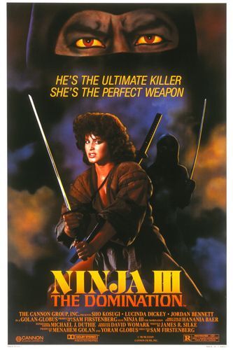Ninja III: The Domination afişi