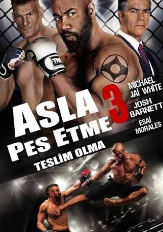 Asla Pes Etme 3 afişi