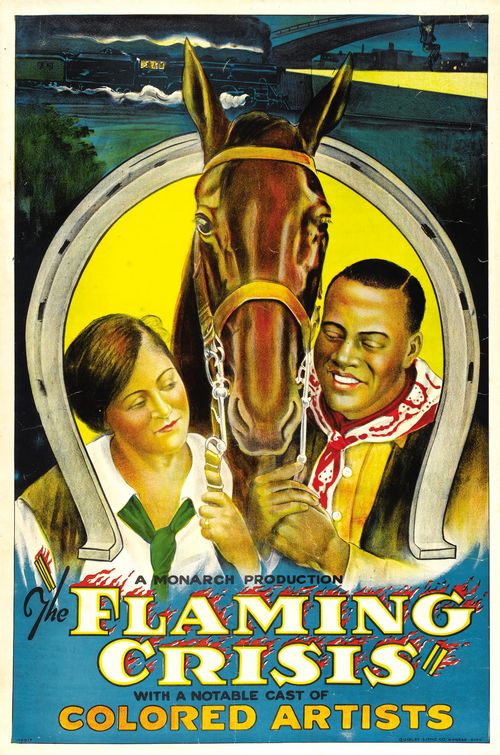 The Flaming Crisis afişi