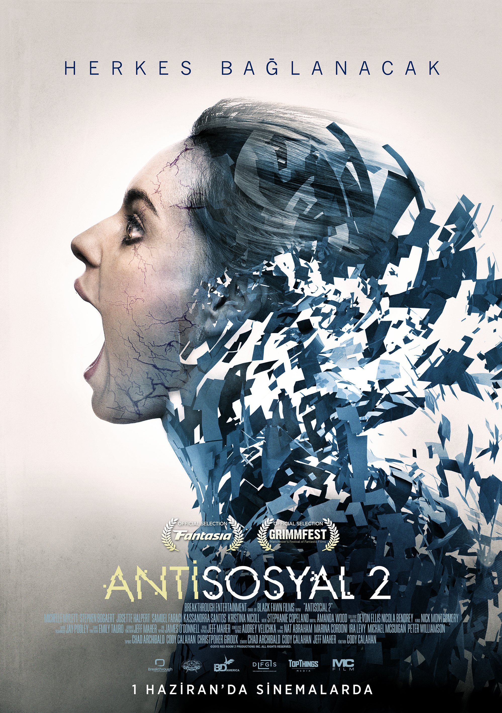 Antisosyal 2 afişi