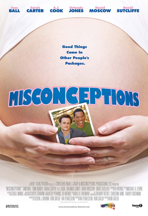 Misconceptions afişi