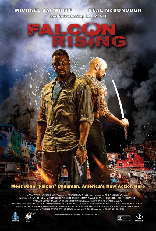 Falcon Rising afişi
