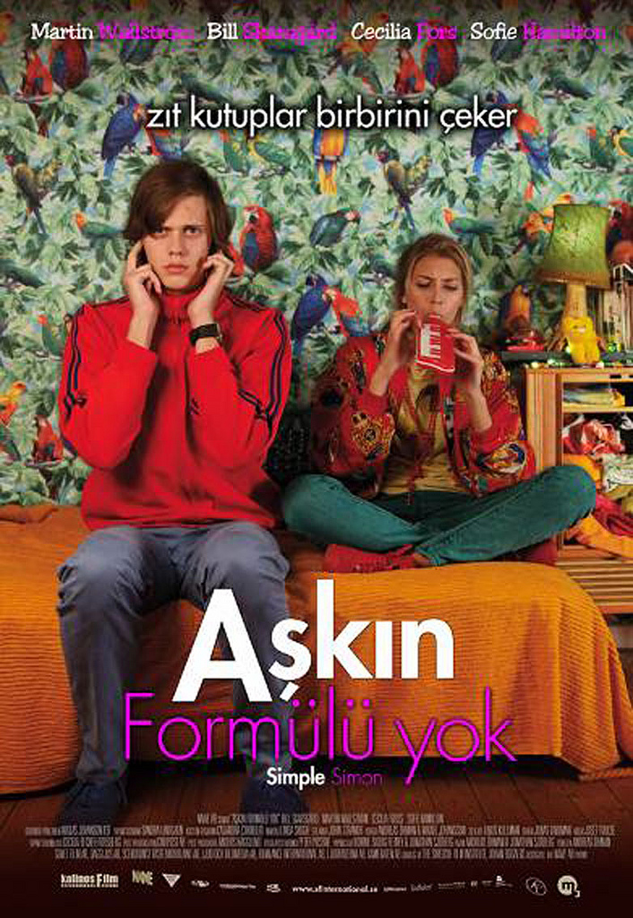 Aşkın Formülü Yok afişi