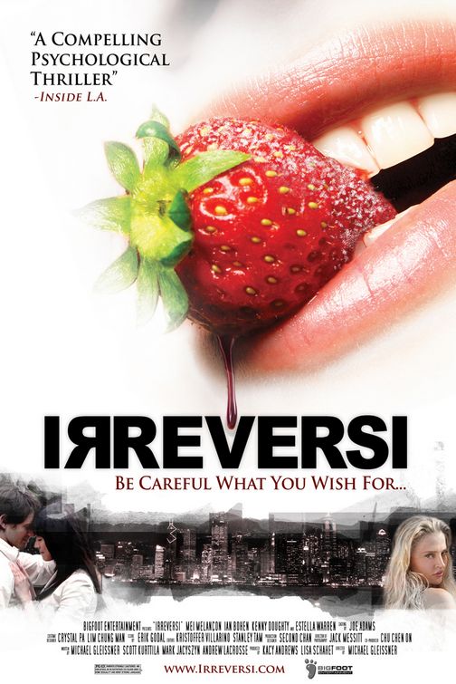 Irreversi afişi