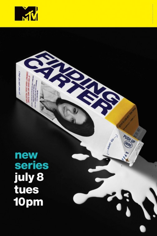 Finding Carter afişi