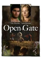 Open Gate afişi