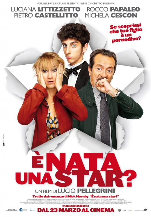 È nata una star? afişi