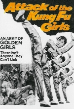Attack Of The Kung Fu Girls afişi