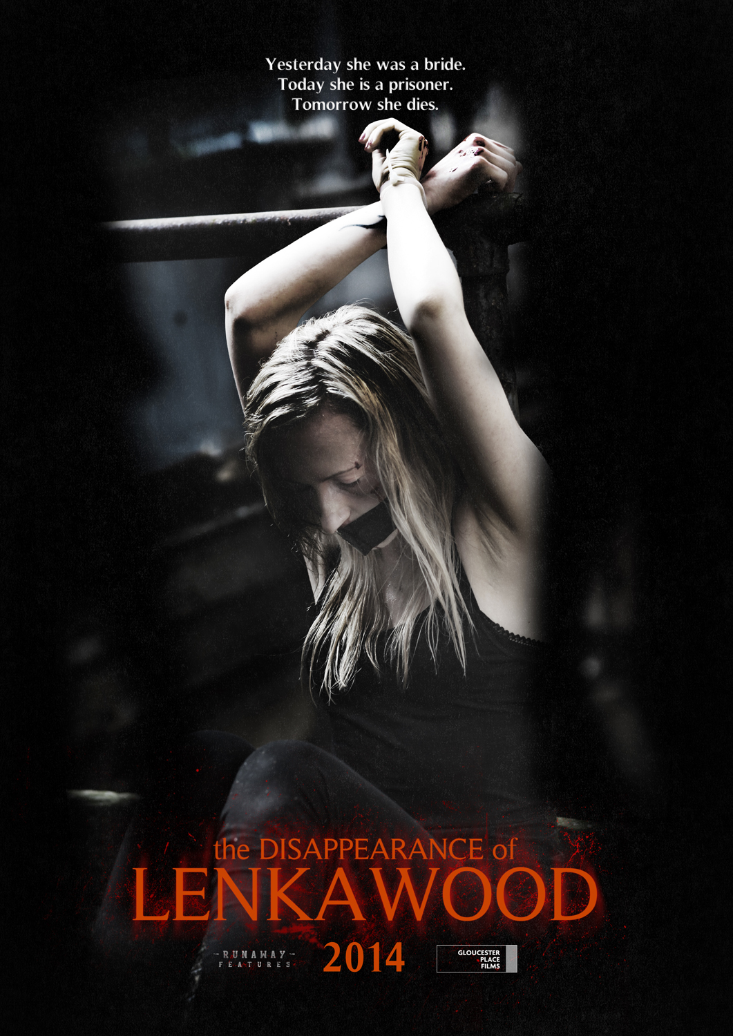 The Disappearance of Lenka Wood afişi