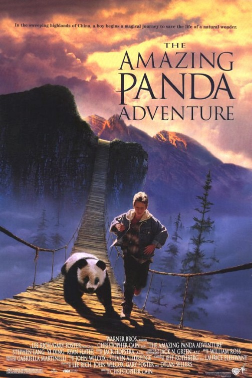 Panda Macerası afişi