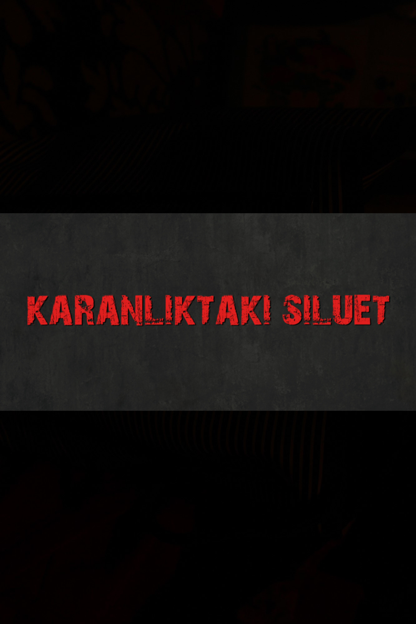 Karanlıktaki Silüet afişi
