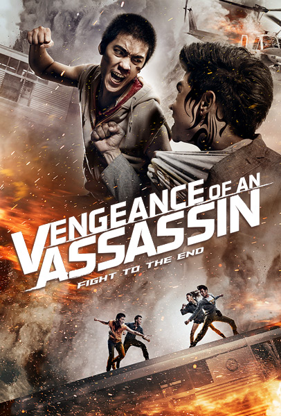 Vengeance of an Assassin afişi