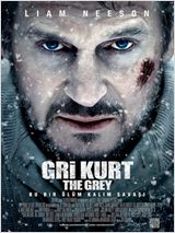 Gri Kurt afişi