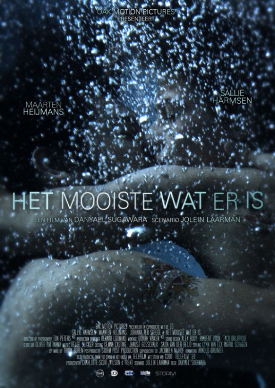 Het mooiste wat er is afişi