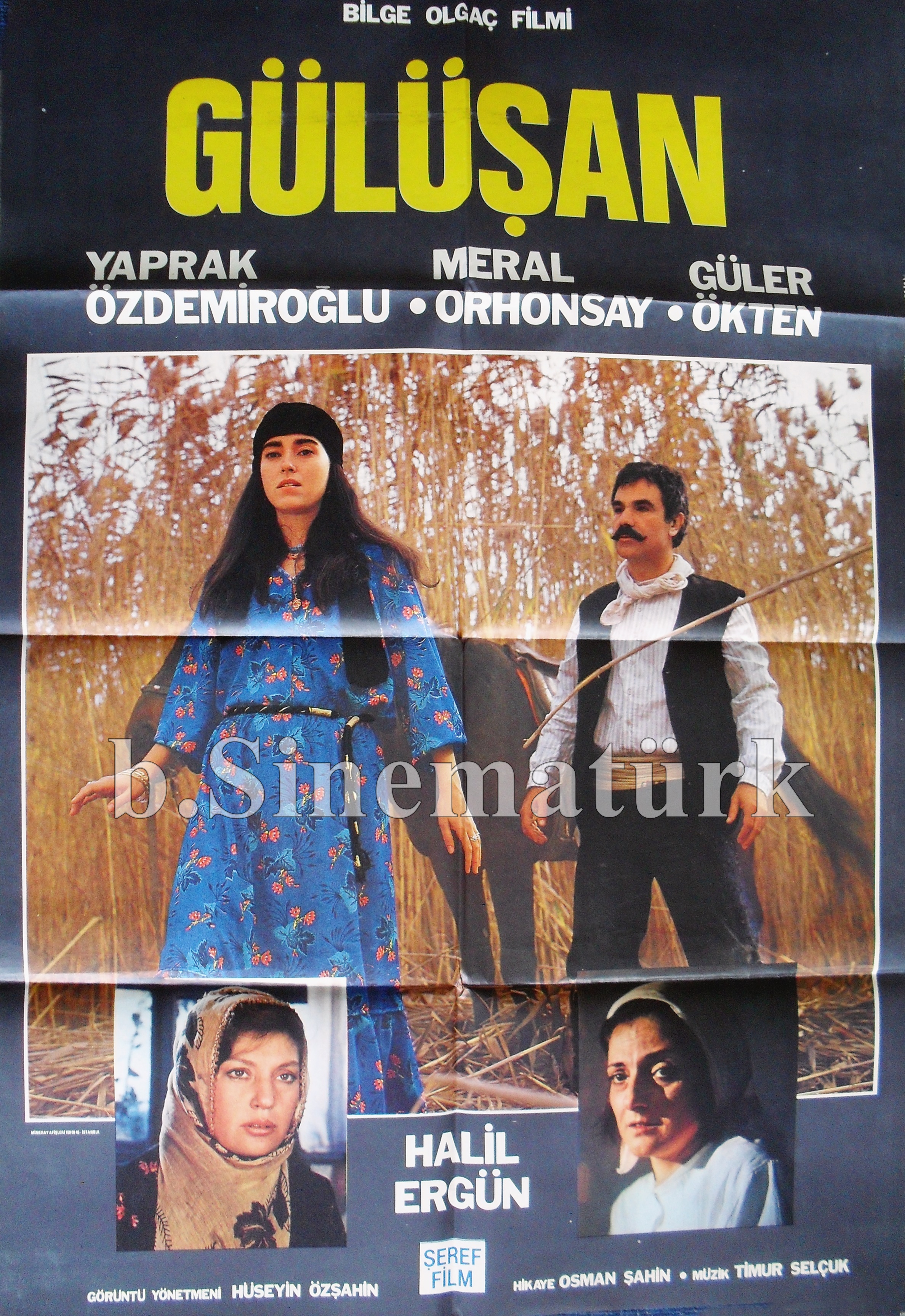 Gülüşan afişi