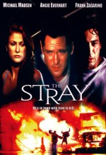 The Stray afişi