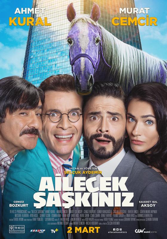 Ailecek Şaşkınız afişi