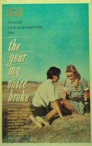 The Year My Voice Broke afişi