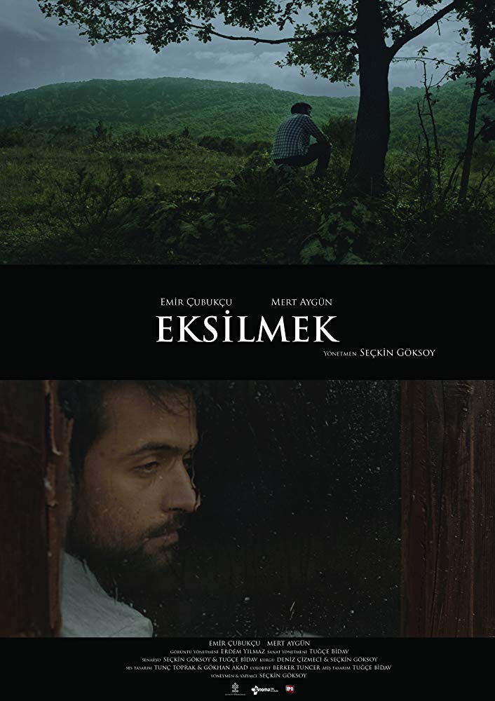 Eksilmek afişi