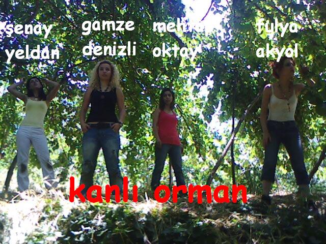 Kanlı Orman afişi