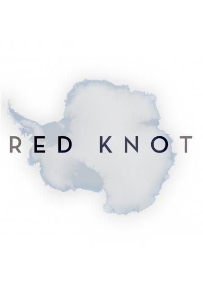 Red Knot afişi