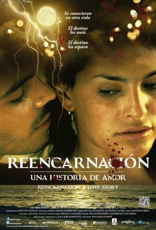 Reencarnación: Una historia de amor afişi