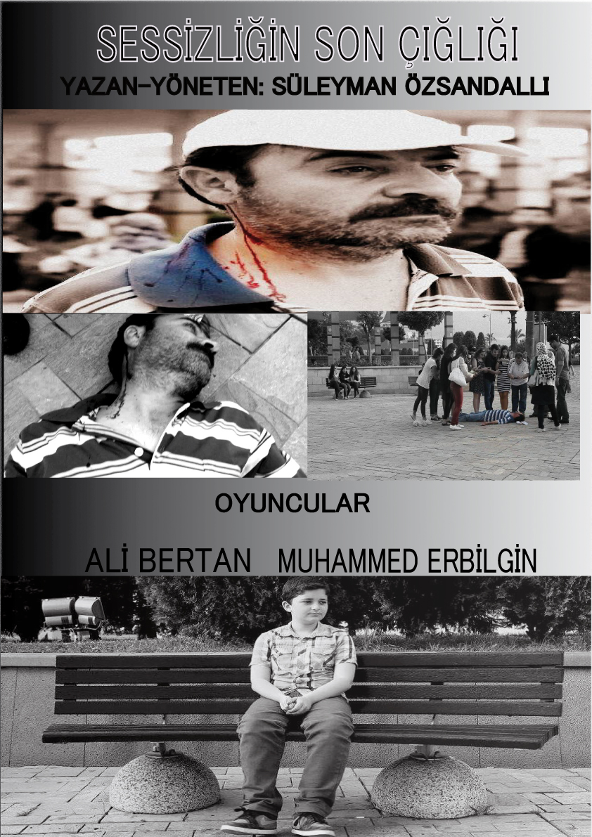 Sessizliğin Son Çığlığı afişi