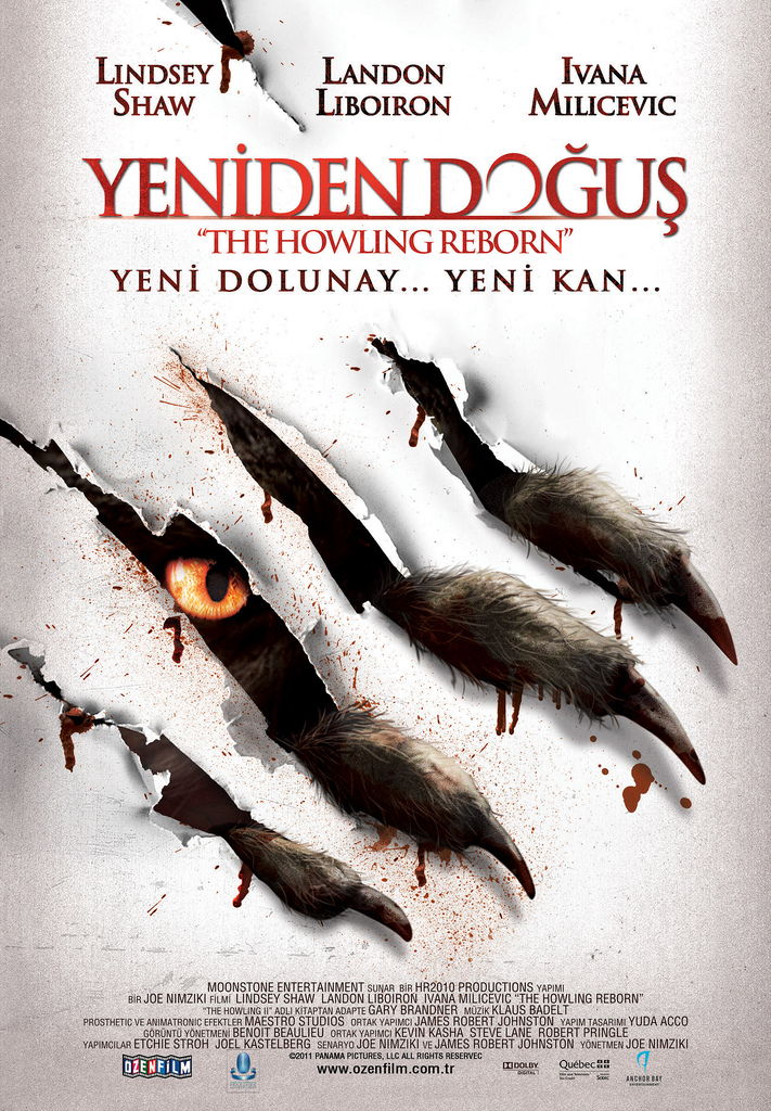 Yeniden Doğuş afişi