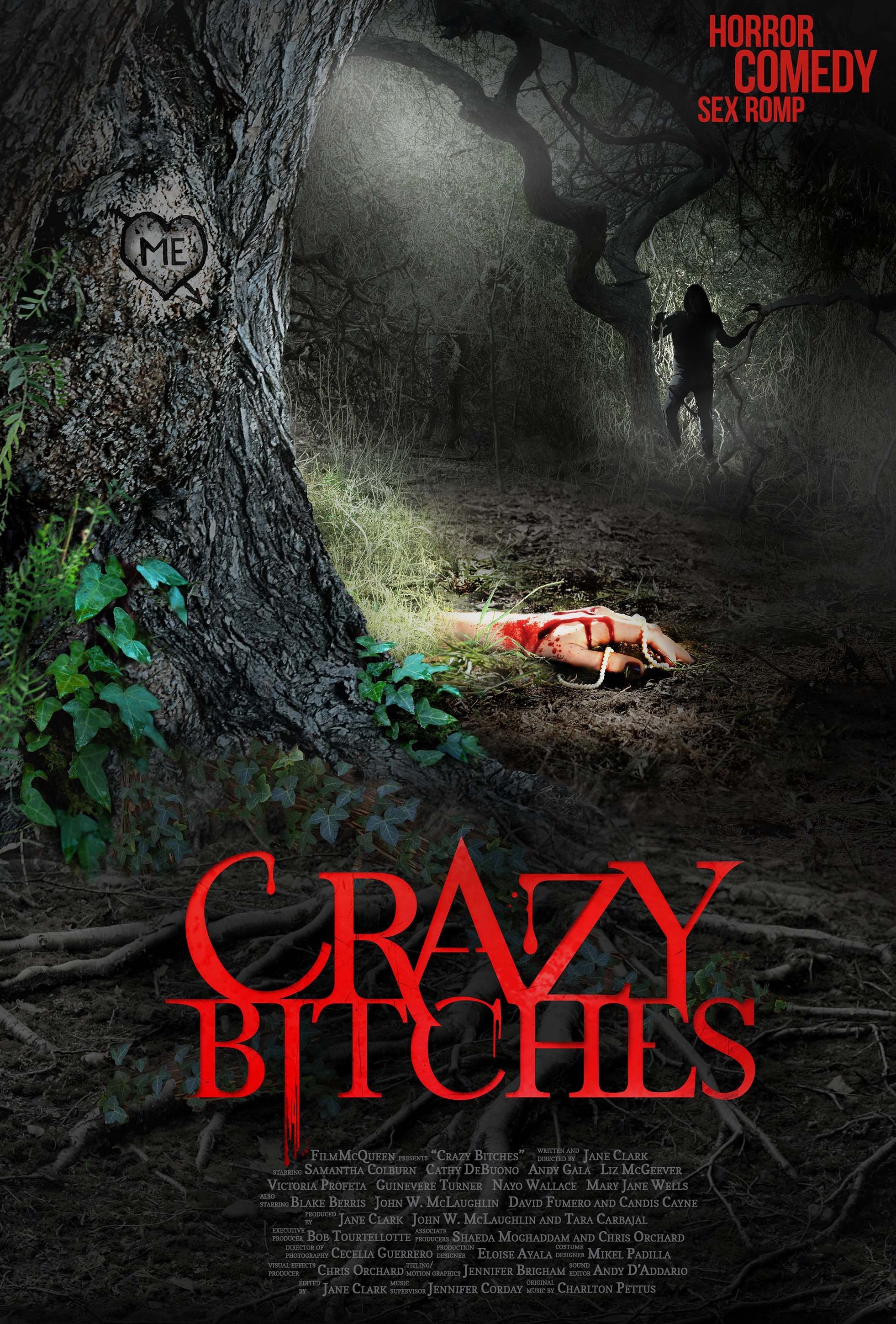 Crazy Bitches afişi
