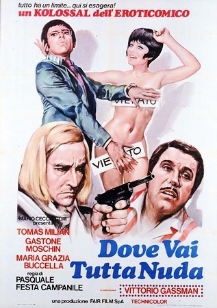 Dove vai tutta nuda? afişi