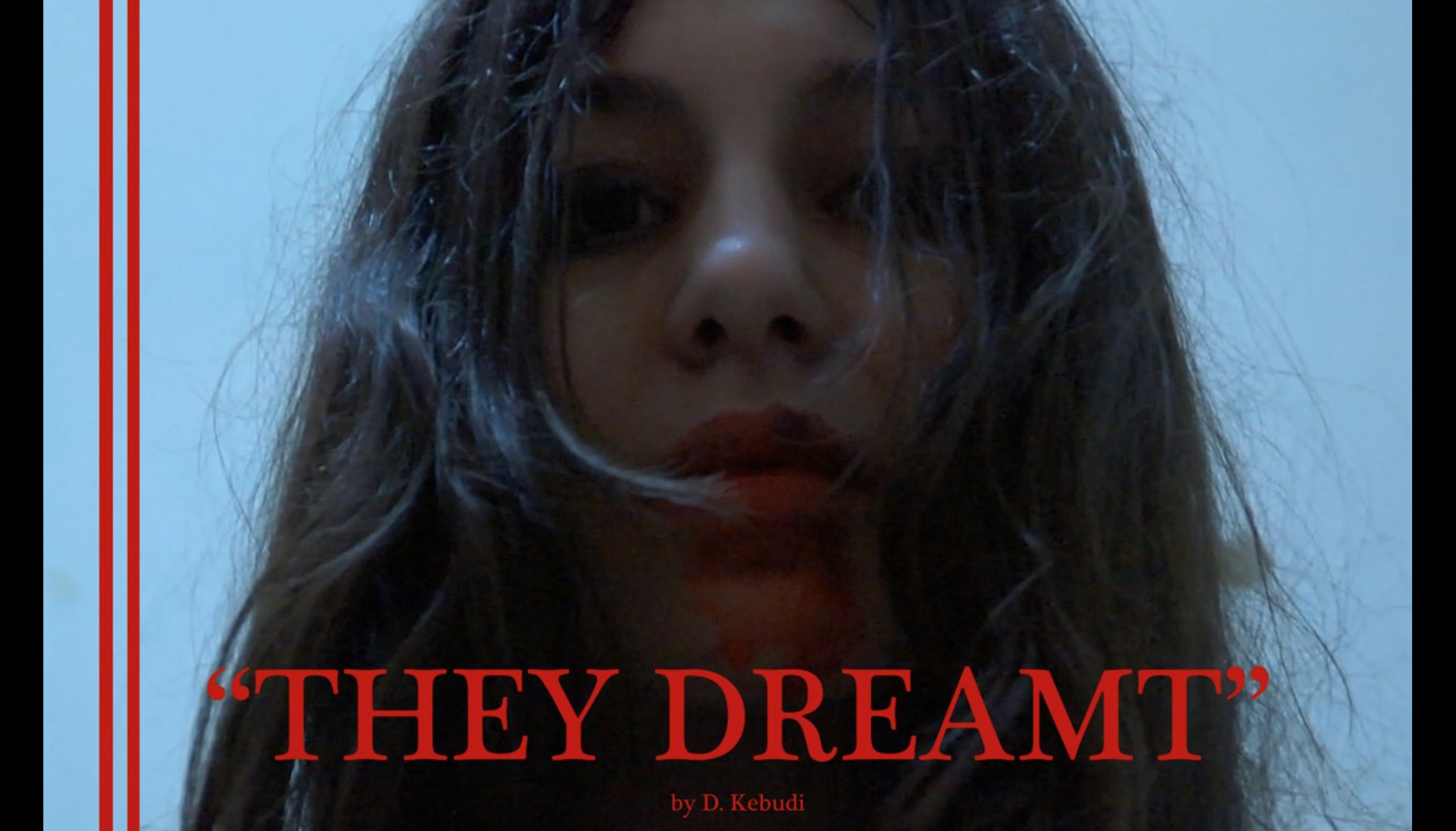 They Dreamt afişi