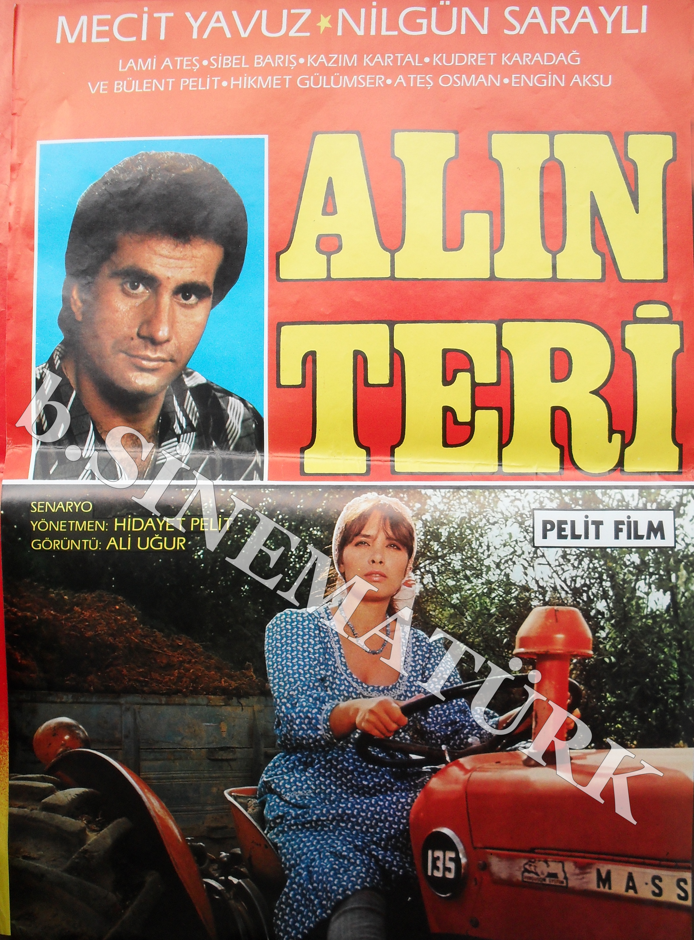 Alın Teri afişi