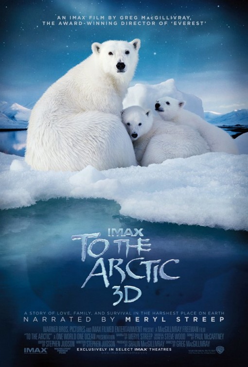 To the Arctic 3D afişi