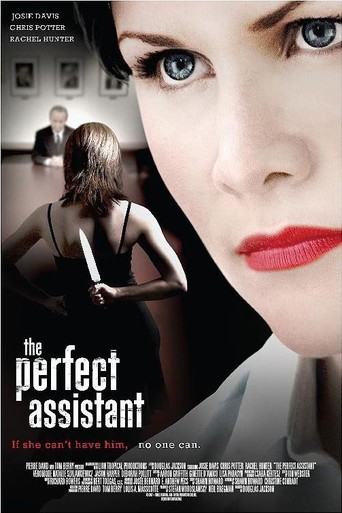 The Perfect Assistant afişi