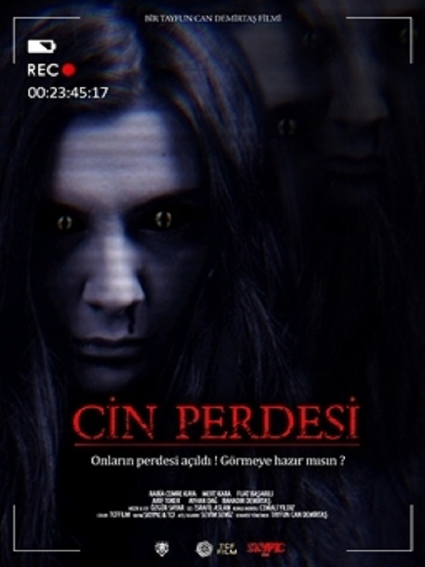 Cin Perdesi afişi