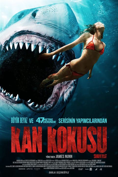 Kan Kokusu afişi
