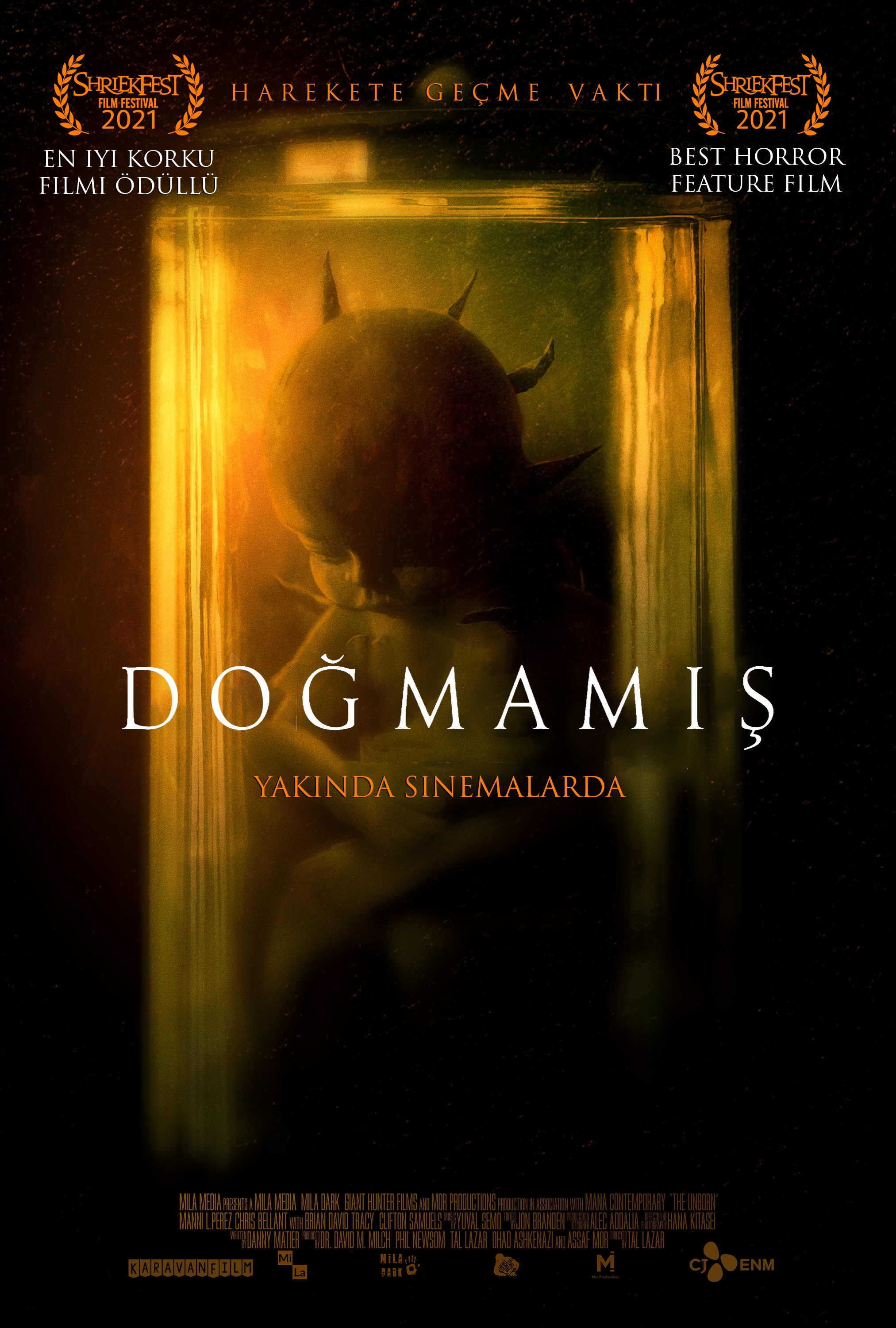 Doğmamış /  The Unborn afişi