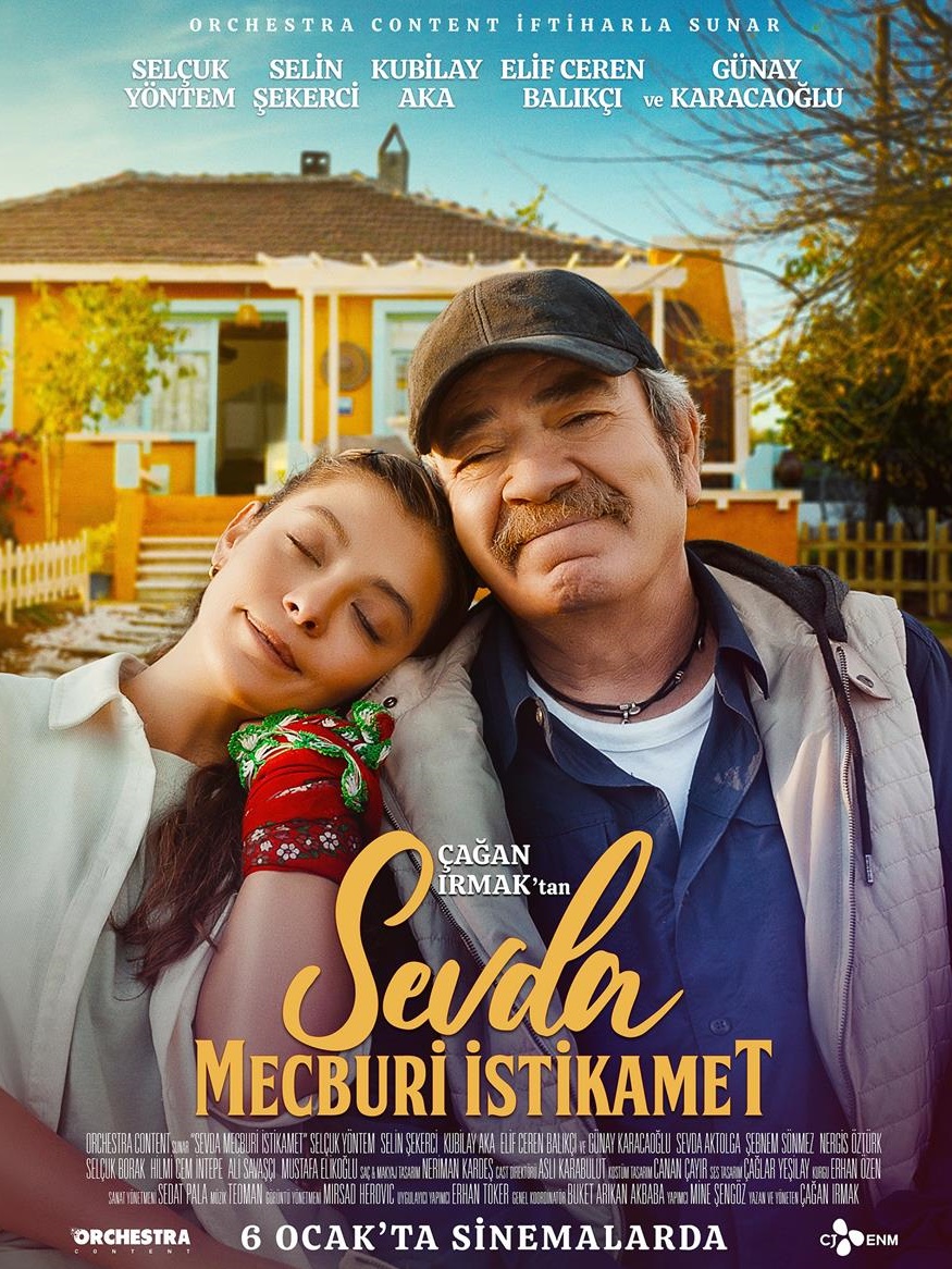 Sevda Mecburi İstikamet afişi