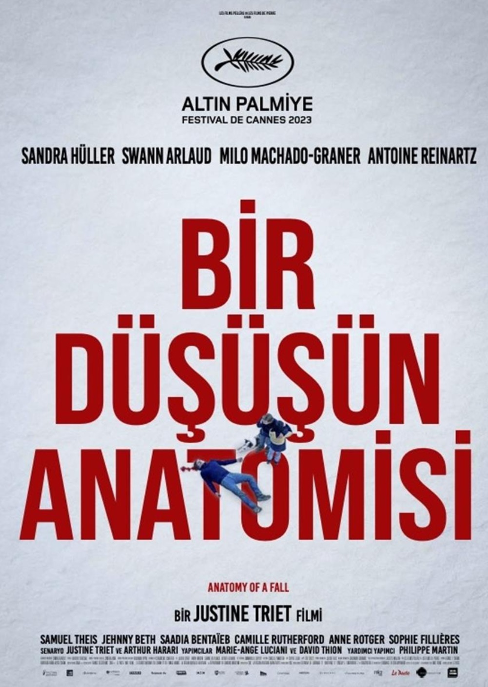Bir Düşüşün Anatomisi afişi