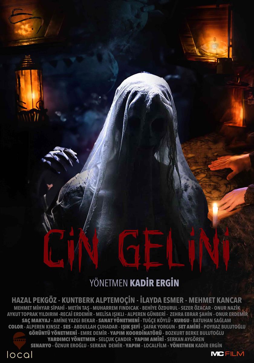 Cin Gelini afişi