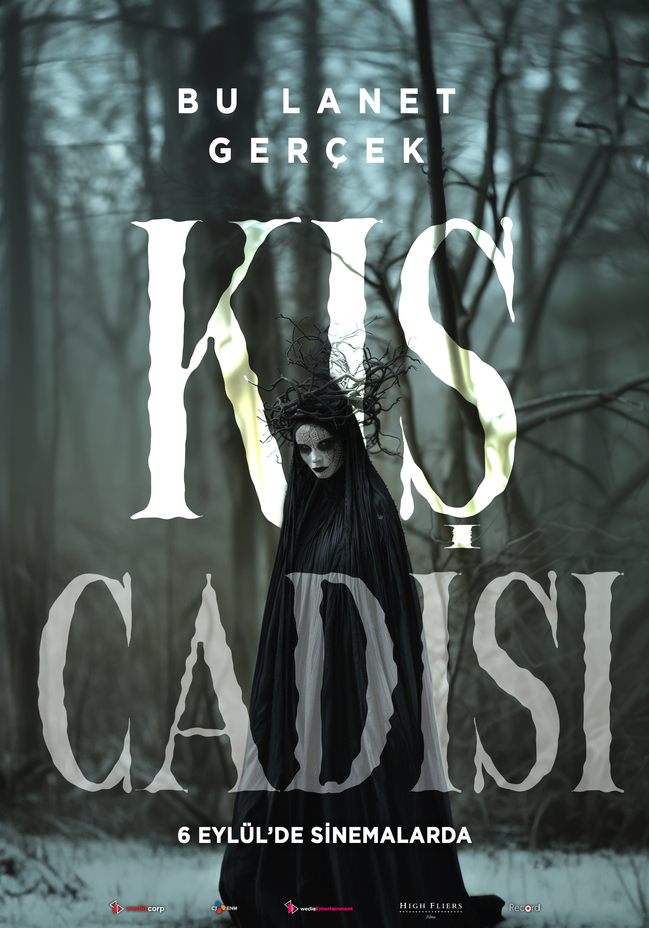Kış Cadısı afişi