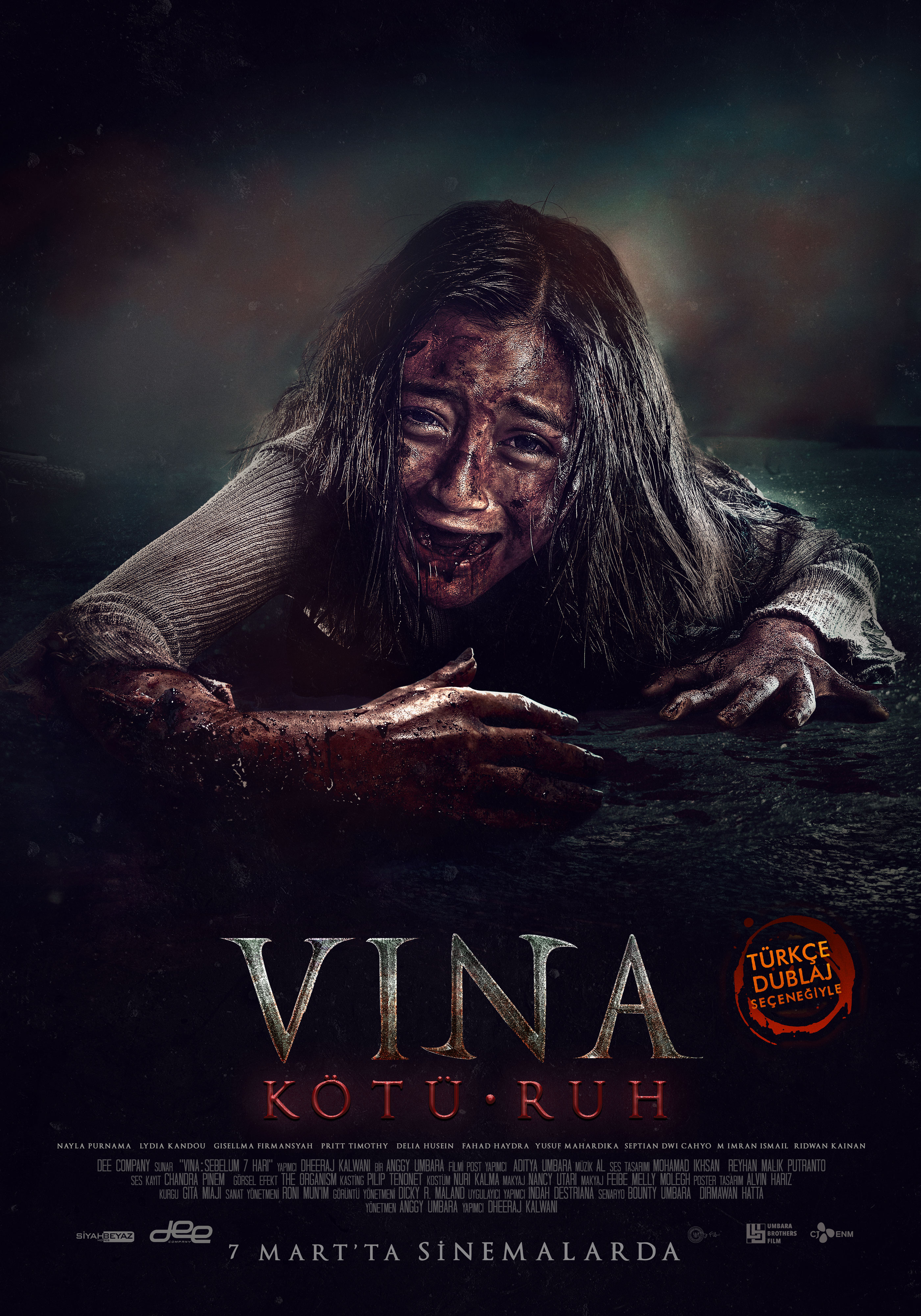 VINA: KÖTÜ RUH afişi